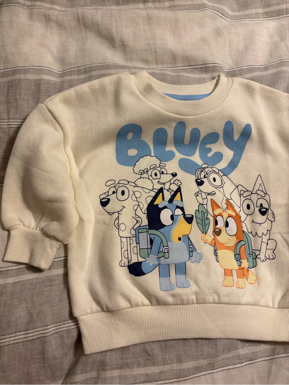 Bluey 12M Character Sweatshirt NWT